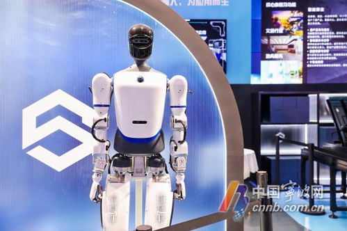 機器人生活秀 數量超60款，數貿會展現科技專業新圖景